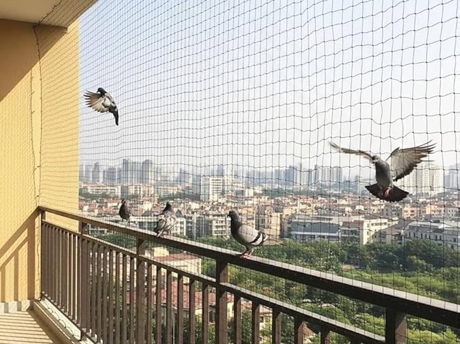 Bird Netting